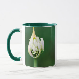 African Lily, Agapanthus Praecox, Cape Town Mug