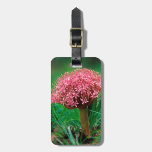African Lily (Agapanthus Praecox), Mala Mala Luggage Tag
