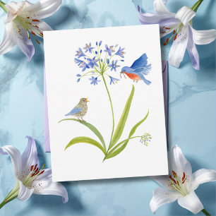 African Lily with Bluebird Mother and Baby Postcard