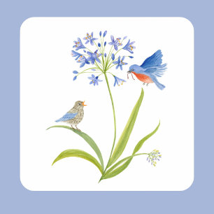 African Lily with Bluebird Mother and Baby Square Sticker