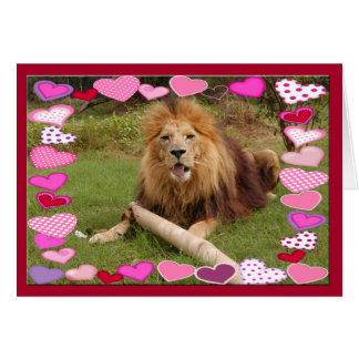 african-lion-00030-65x45