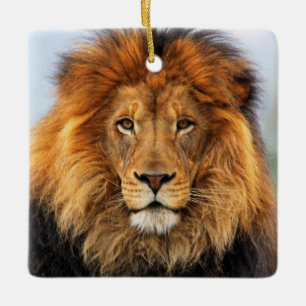 African Lion 1 Ceramic Tree Decoration