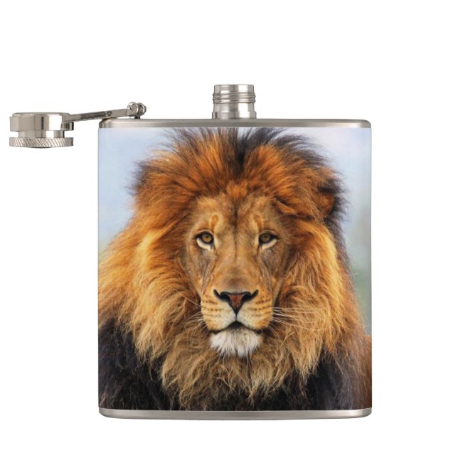 African Lion 1 Hip Flask (Opened)