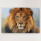 African Lion 1