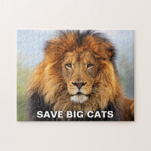 African Lion 1 Jigsaw Puzzle