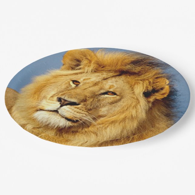 African Lion 2 Paper Plate (Angled)