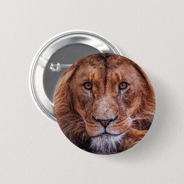 African Lion 6 Cm Round Badge (Front & Back)