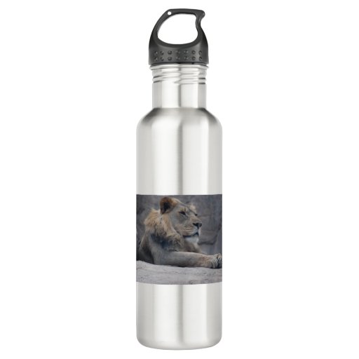 Image of African Lion 710 Ml Water Bottle