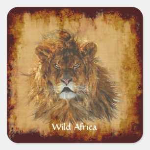 AFRICAN LION Big Five Big Cat Wildlife Stickers