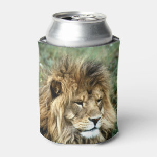 African lion can cooler