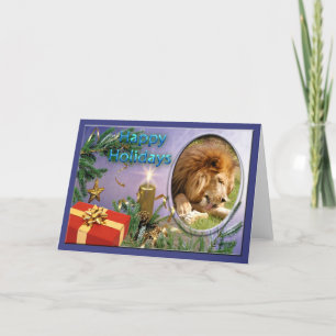 African Lion Christmas Greeting Card