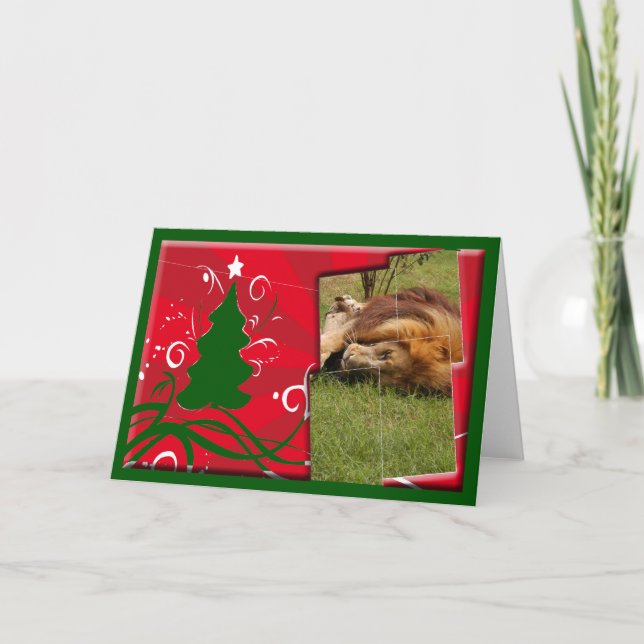 African Lion Christmas Greeting Card (Front)