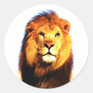 African Lion Classic Round Sticker