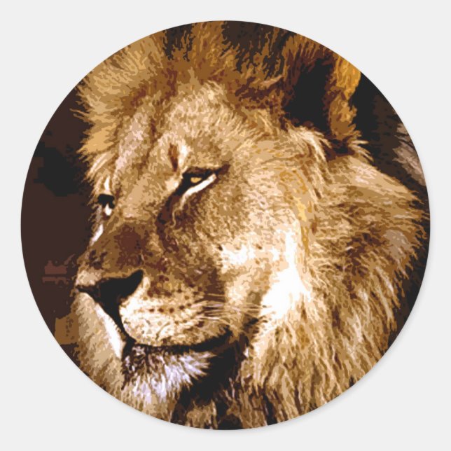 African Lion Classic Round Sticker (Front)