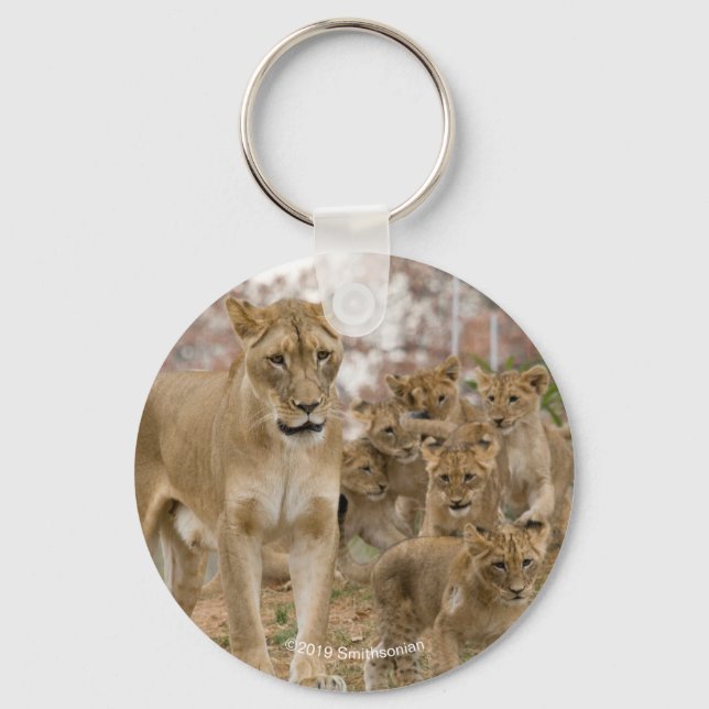 African Lion Cubs with Mother Key Ring (Front)