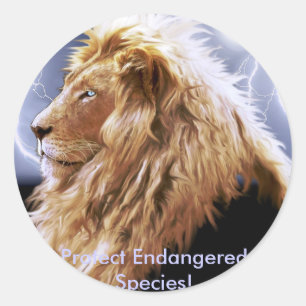 African Lion  Endangered Species Series Classic Round Sticker