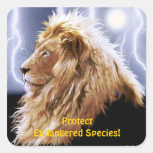 African Lion Endangered Species Wildlife Stickers