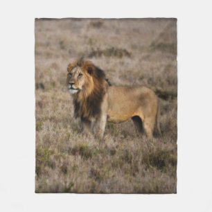 African Lion Fleece Blanket