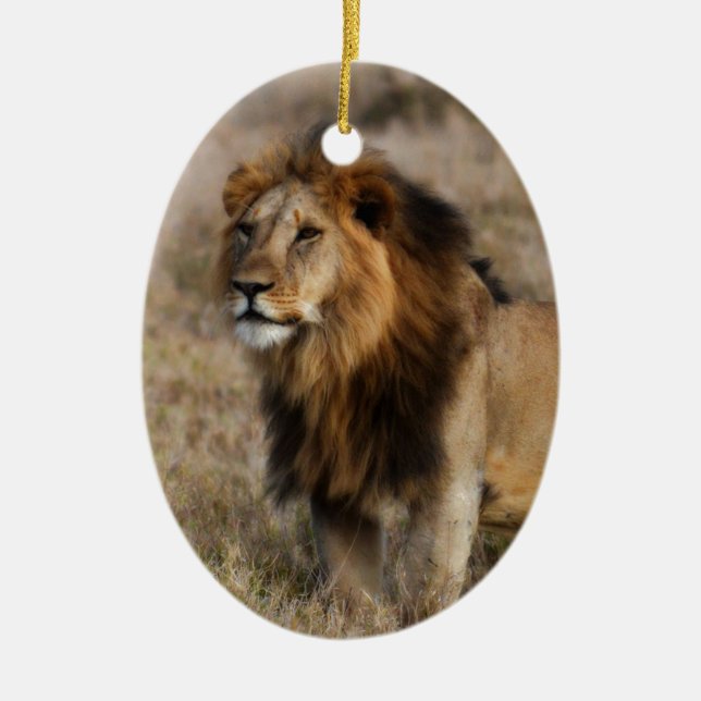 African Lion in Grass Ceramic Tree Decoration (Front)