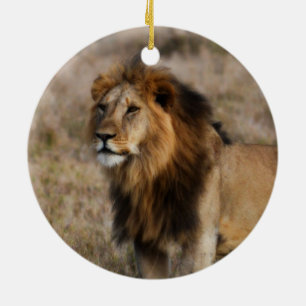 African Lion in Grass Ceramic Tree Decoration