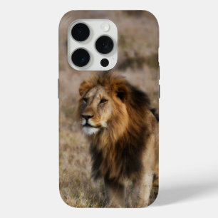 African Lion in Grass iPhone 7 Case