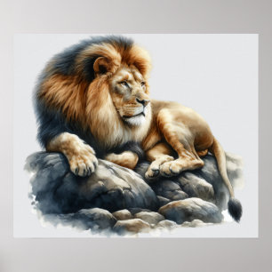African Lion in Watercolor Poster