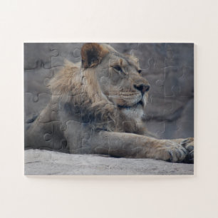 African Lion Jigsaw Puzzle