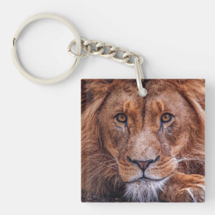 African Lion Key Ring