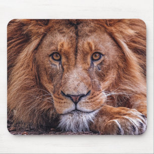 African Lion Mouse Mat