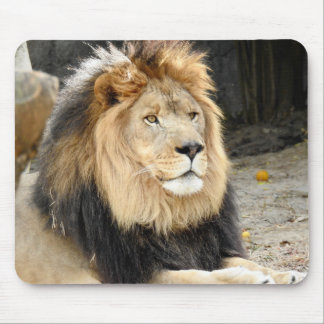 African Lion Mouse Mat