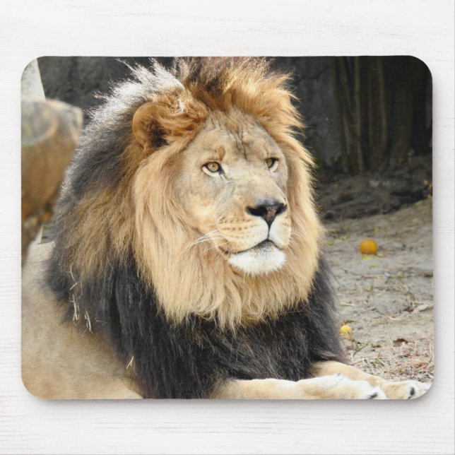 African Lion Mouse Mat (Front)