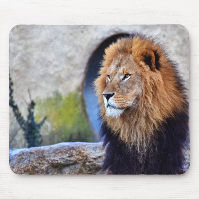 African Lion Mouse Mat (Front)