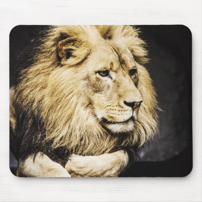 African Lion mousepad (Front)