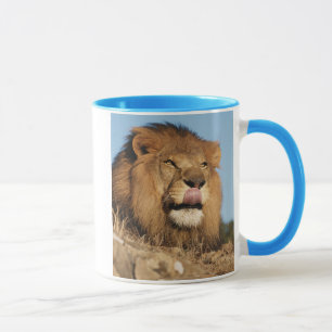 African Lion (Panthera Leo), African savannah Mug