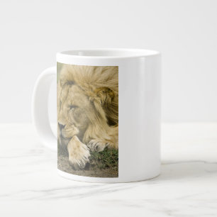 African Lion, Panthera leo, laying down asleep Large Coffee Mug