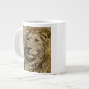African Lion, Panthera leo, Portrait of a Large Coffee Mug
