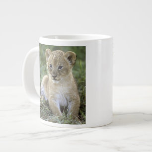 African lion, Panthera leo), Tanzania, Large Coffee Mug