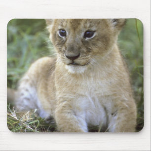 African lion, Panthera leo), Tanzania, Mouse Mat