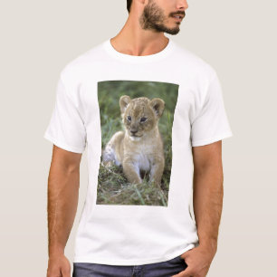 African lion, Panthera leo), Tanzania, T-Shirt