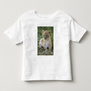 African lion, Panthera leo), Tanzania, Toddler T-Shirt