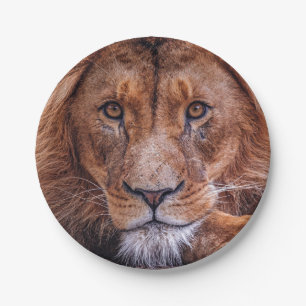 African Lion Paper Plate