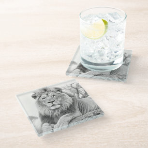 African Lion Pencil Drawing Glass Coaster