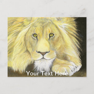African Lion Postcard