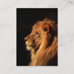 African Lion powerfull  - Two Sided Business Card