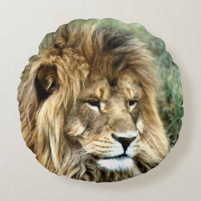 African lion round pillow (Front)