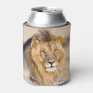 African Lion safari big cat animal photo Can Cooler