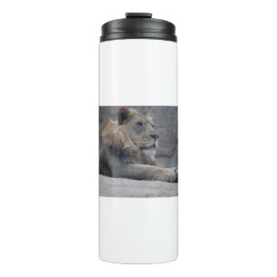 African Lion Thermal Tumbler