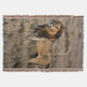 African Lion Throw Blanket