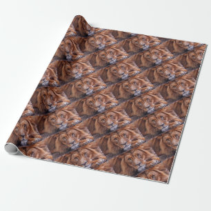 African Lion Wrapping Paper