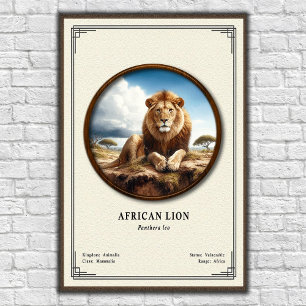 African Lion Zoology Series Poster